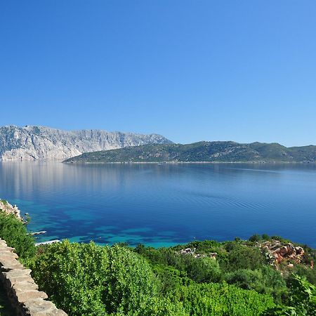 Villaggio Est Affittacamere San Teodoro  Exteriör bild