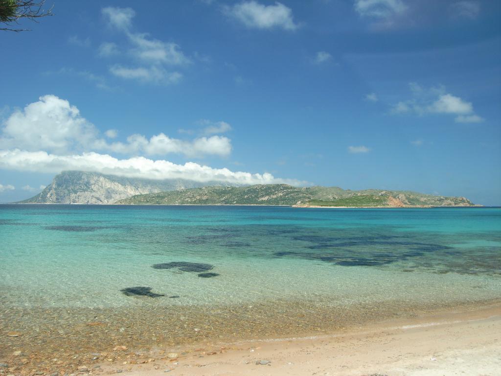 Villaggio Est Affittacamere San Teodoro  Exteriör bild